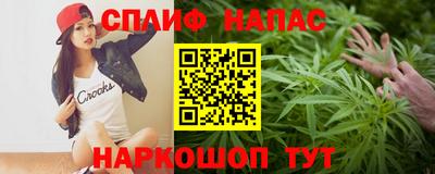 гашик Гатчина