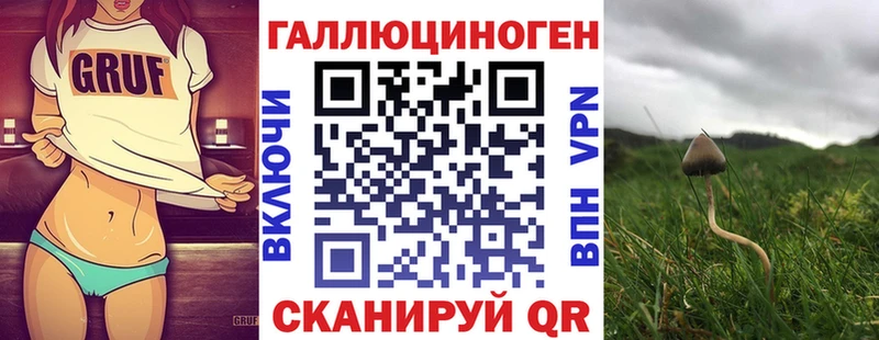 цена Кудрово Псилоцибиновые грибы MAGIC MUSHROOMS