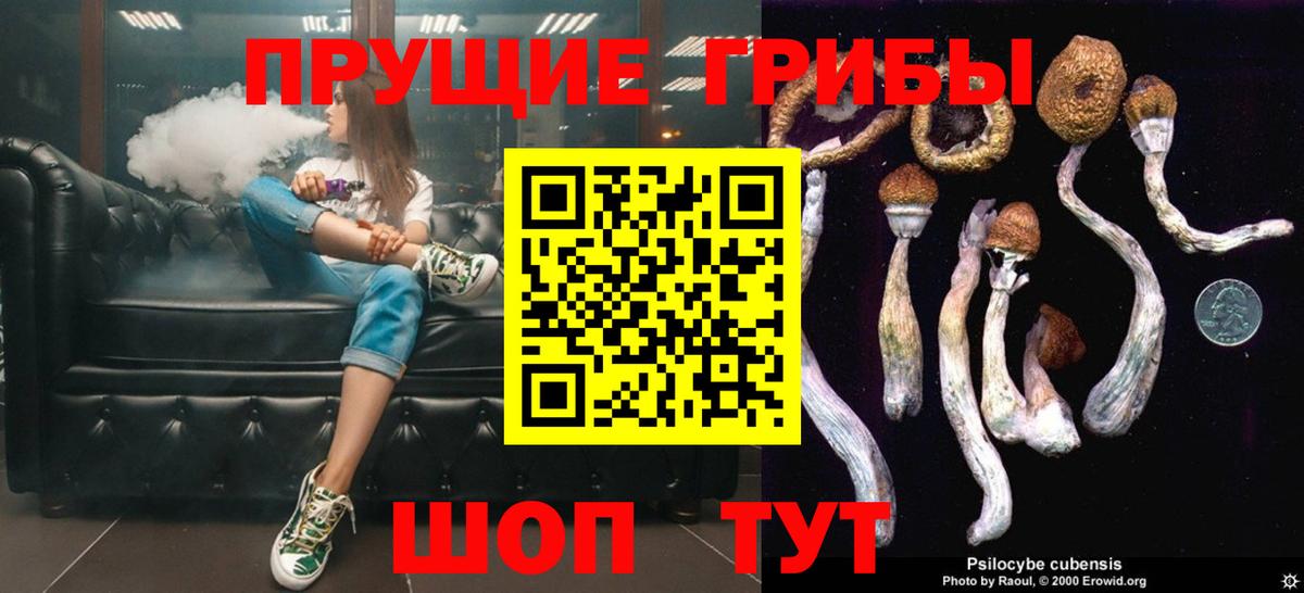 Галлюциногенные грибы Cubensis  Вход с VPN  Кудрово 